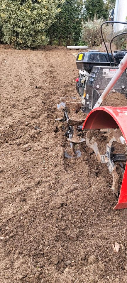 schöner Garten Tobias Veit Gärtner Gartenarbeit schneiden in Goch