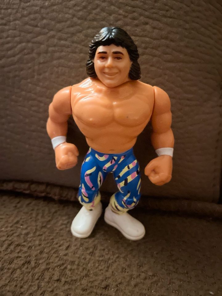 WWF/WWE Hasbro Wrestling Figur       Marty Jannetty in Scheßlitz