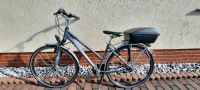 26 Zoll Pegasus Herren Citybike Sachsen-Anhalt - Halberstadt Vorschau