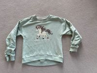 Pullover Mädchen Gr. 128 Mint (dopodopo) Baden-Württemberg - Emmingen-Liptingen Vorschau