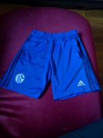 Sporthose Schalke 04 Adidas Gr.152 Hessen - Dieburg Vorschau