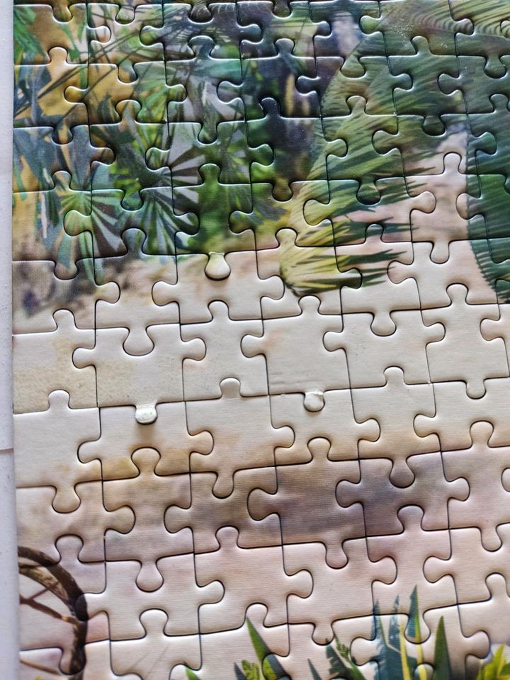 Ravensburger Puzzle 9000 - Dschungel Tiere in Rimpar