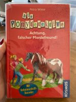Buch Die Ponydetektive Spannende Pony Geschichten Kosmos Bayern - Aschaffenburg Vorschau