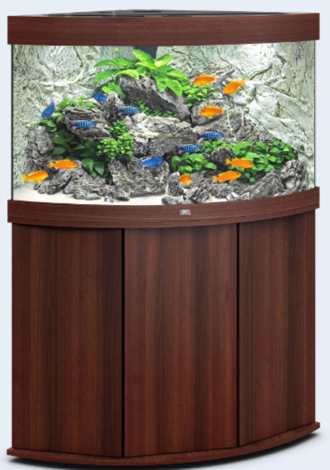Juwel Trigon 190 Aquariumkombination in 4 verschiedenen Dekoren in Dortmund