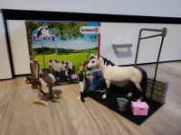 Schleich Putzplatz Set Niedersachsen - Friesoythe Vorschau