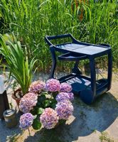 Servierwagen Beistelltisch Gartenmöbel Schrebergarten Niedersachsen - Oldenburg Vorschau