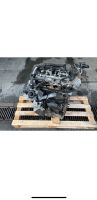 Audi A4 A5 A6 Q5 Motor 2,0 TDI 22 Kilometer CNH CNHA Rumpfmotor Bielefeld - Joellenbeck Vorschau