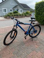 Busetto Moutainbike/ Fahrrqd Schleswig-Holstein - Fahrdorf Vorschau