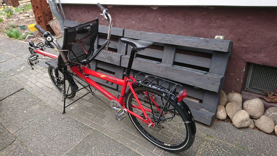 Hase Pino Tandem in Riedstadt