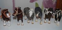 6 x SCHLEICH Pferde groß Tinker Clydesdale Percheron TOP Wuppertal - Vohwinkel Vorschau