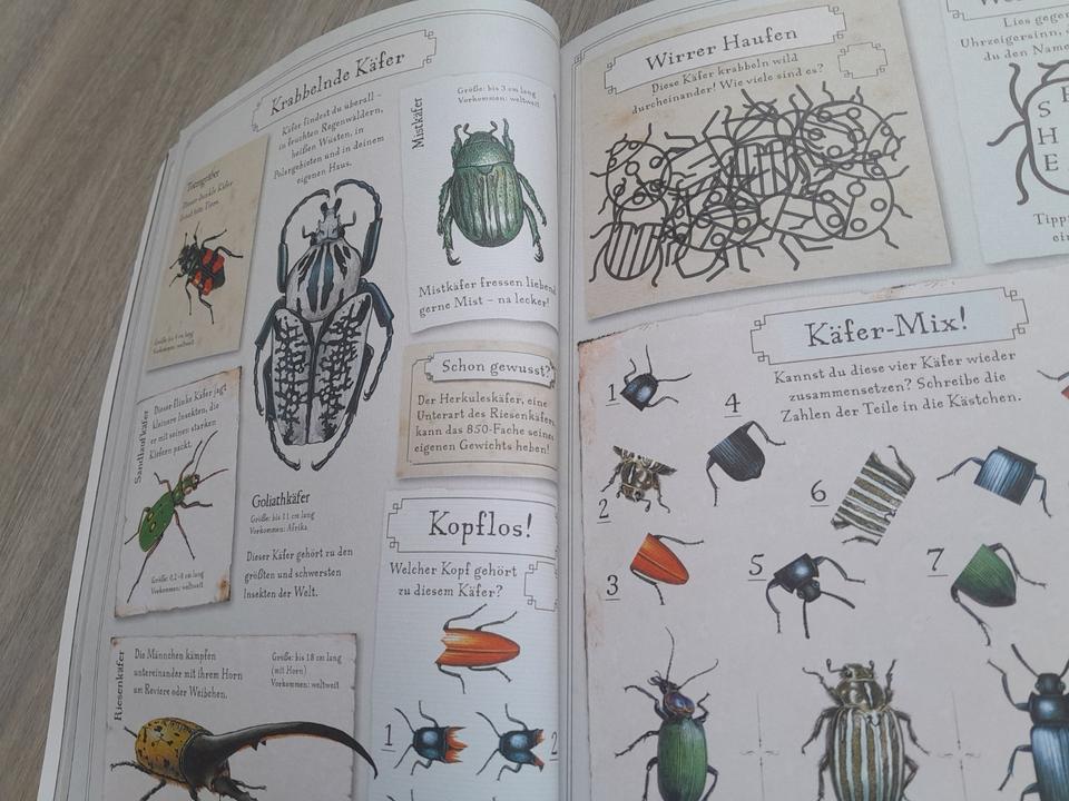 Die Welt der Insekten und andere Krabbeltiere von Tessloff in Weyhe