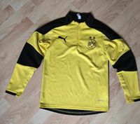 Trainingsshirt Jacke Puma Borussia Dortmund Gr.140 Kreis Pinneberg - Elmshorn Vorschau