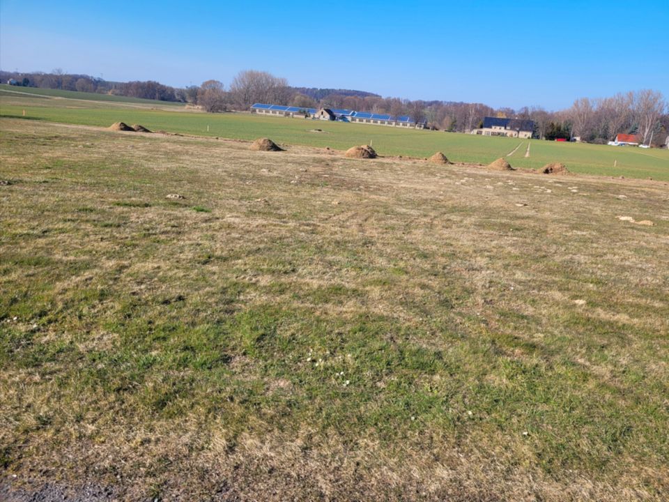 Herrliches Baugrundstück in traumhaft ruhiger Lage bei Bautzen in Göda