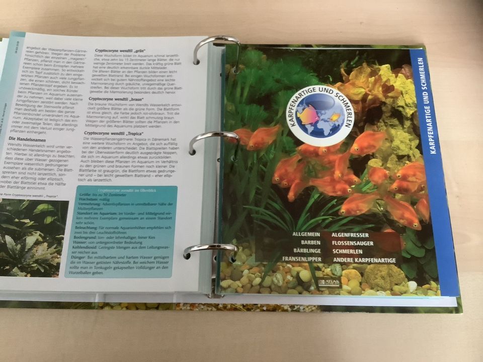 Aquaristik Bücher Hefter Alles fürs Aquarium Atlas Verlag in Arnstadt