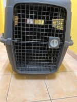 AniOne Hunde/Katzen Tranportbox Bayern - Seeg Vorschau