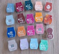 Scentsy Bars und Pod ab 5€ Nordrhein-Westfalen - Marsberg Vorschau