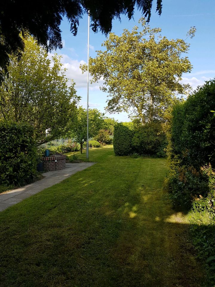 Schrebergarten, Garten mit Häuschen in Braunschweig