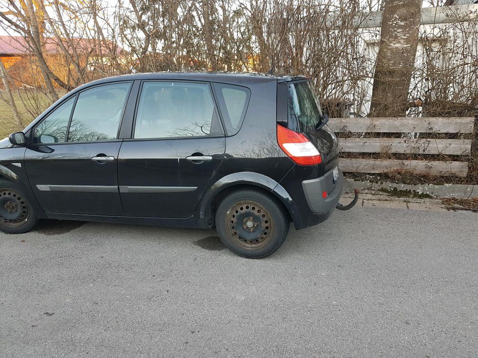 Renault Scenic Keyless Diesel 1.9 dCi Avantage in Pürgen