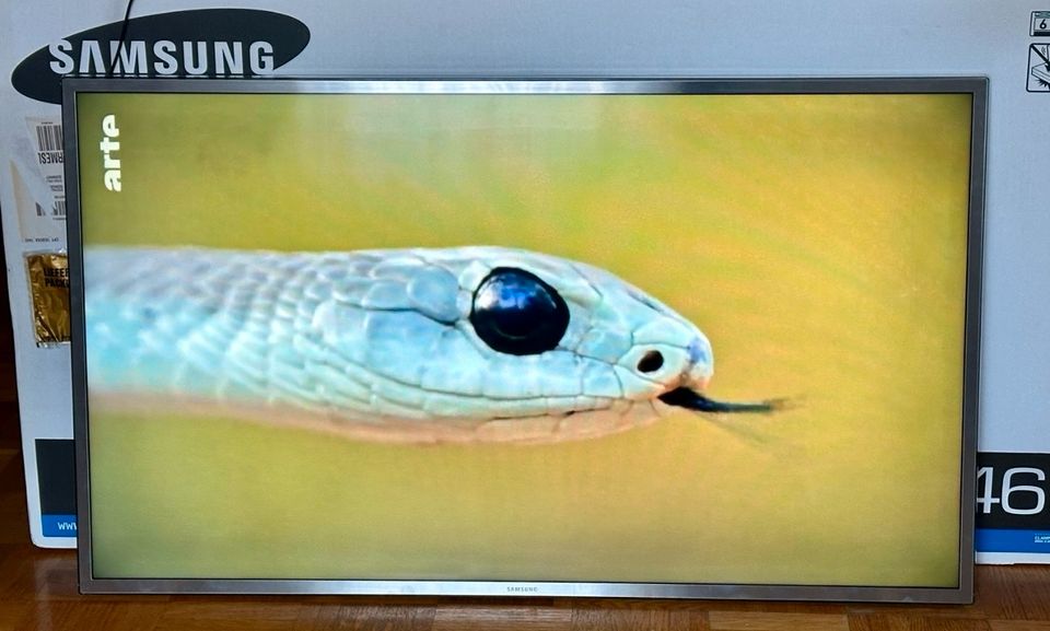 Samsung Smart TV 46 Zoll in Bad Saulgau