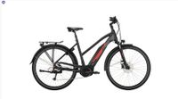 VICTORIA Elektro-Trekkingrad "eTrekking 6.5" Rh 48 und Rh 53 Schleswig-Holstein - Bordesholm Vorschau