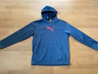 Puma Training Hoodie Gr L Herren Kapuzenpulli Niedersachsen - Hude (Oldenburg) Vorschau