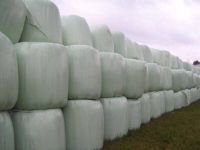 Bio Heulage Rundballen für Pferde. Silage mit Lieferung frei Hof. Niedersachsen - Drangstedt Vorschau