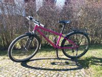 Ku bikes 24zoll mit Zubehör Dresden - Loschwitz Vorschau