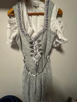 Dirndl Größe 38/40 Baden-Württemberg - Baltmannsweiler Vorschau