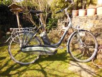 GAZELLE Easy Glider, easyglider, E-Bike, 28" Hollandrad RH57 D+H Bochum - Bochum-Südwest Vorschau