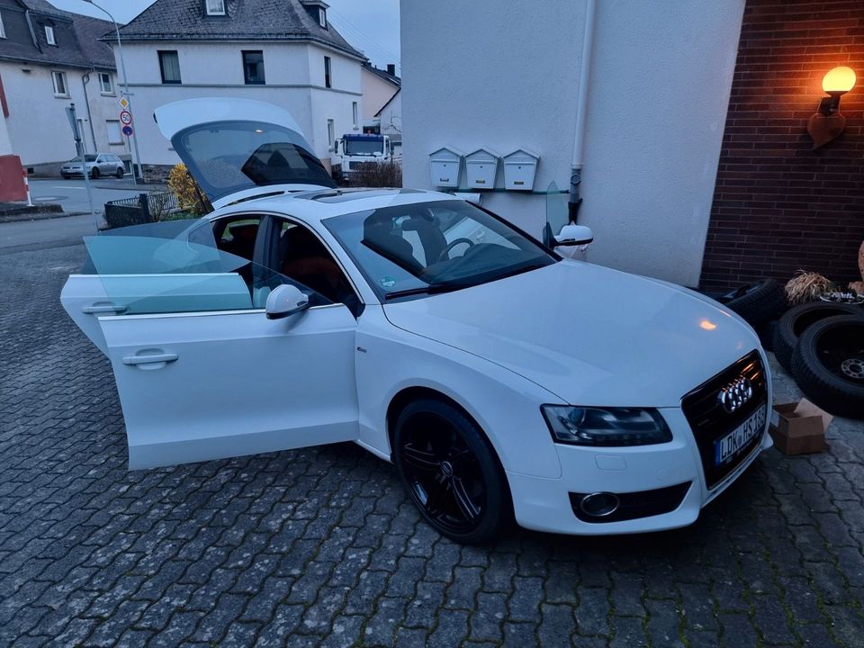 Audi A5 3.0 TDI (DPF) S tronic quattro Sportback - in Limburg