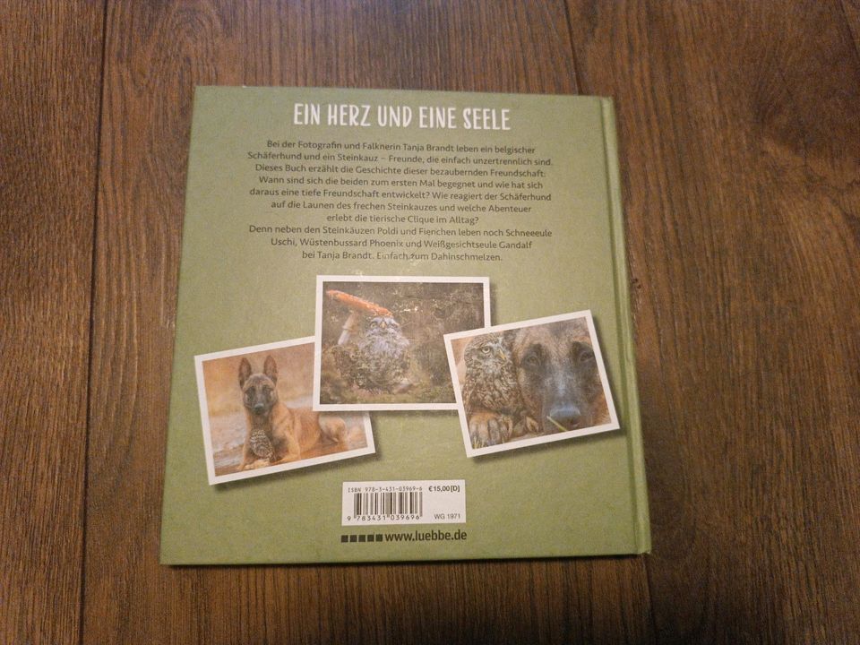 Wo die Liebe hinfliegt - Tanja Brandt, Buch in Blaustein