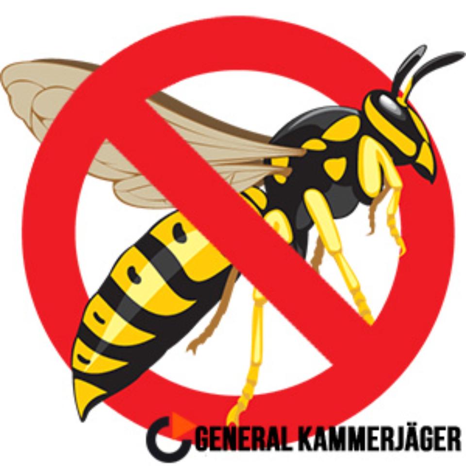 Kammerjäger in Berlin -Ratten, Mäuse, Bettwanzen, Wespen, Schaben in Berlin