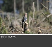 1 FH in Waldrandlage gesucht !! Nordrhein-Westfalen - Halver Vorschau