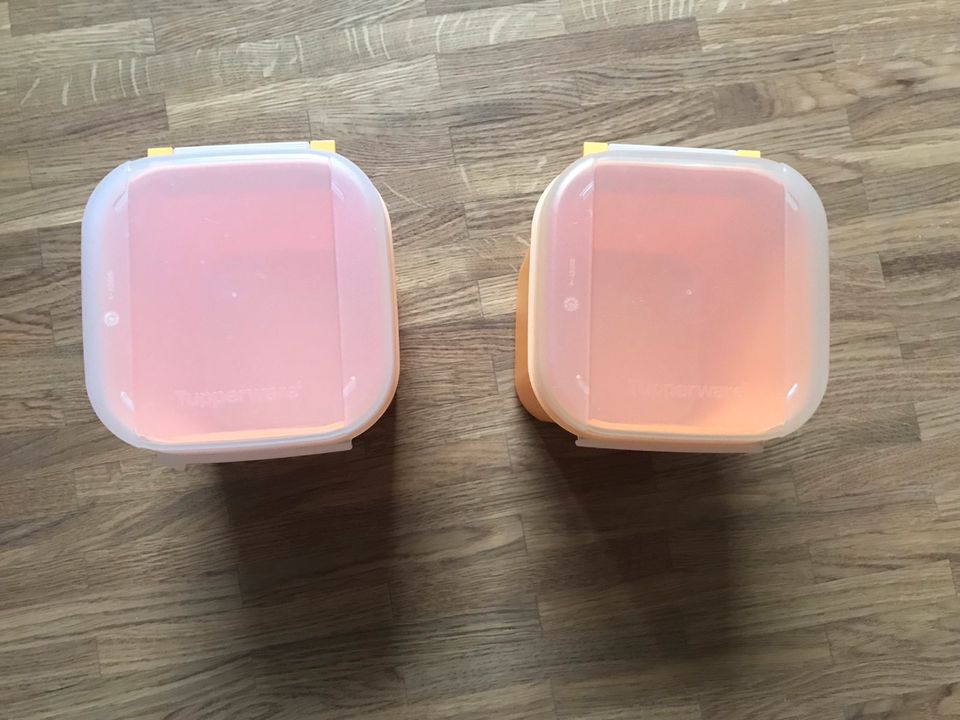 Tupperware Aufbewahrungsbox / Vorratsdose in Hannover