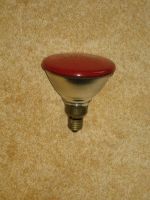 Phillips Halogen Reflektorlampe PAR38 100 Watt Flood E27 rot Berlin - Steglitz Vorschau