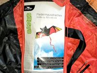 Fledermaus-Drachen Rheinland-Pfalz - Mainz Vorschau