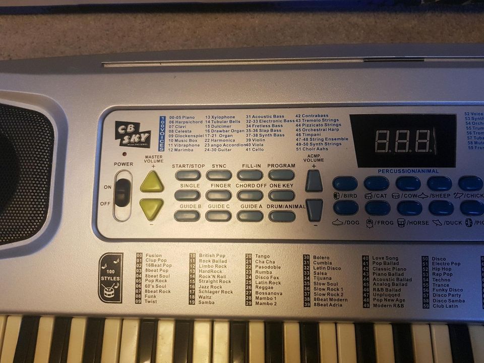 Keyboard, elektronisch, 54 Tasten in Horn-Bad Meinberg