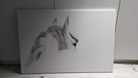 Leinwand / Poster / Bild weißes Pferd, 60x90 cm Nordrhein-Westfalen - Viersen Vorschau