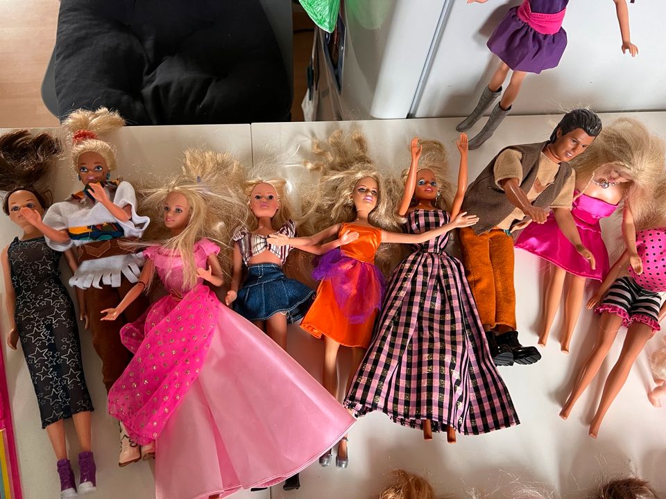 Barbie Sammlung, 20 Barbies + viel Zubehör in Cremlingen