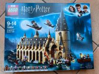 Lego Harry Potter 75954 Niedersachsen - Duderstadt Vorschau