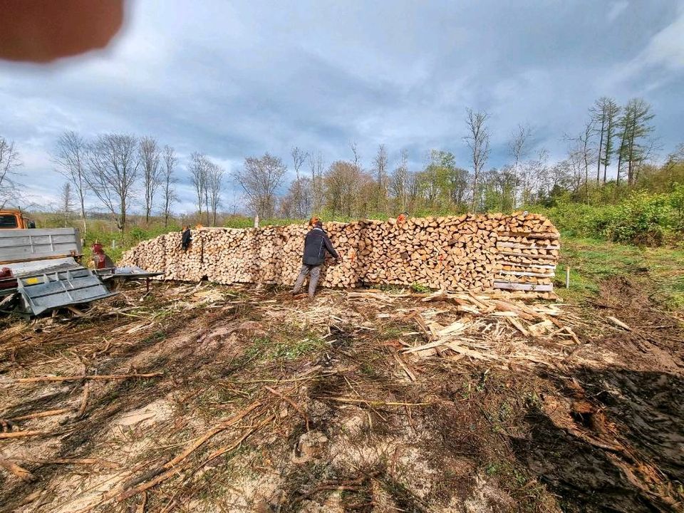 Fichtenbrennholz in Bad Marienberg