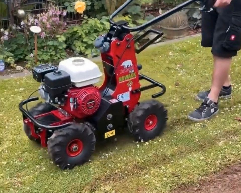 Gärtner-Gartenpflege-Heckenschnitt-Rollrasen-… in Viersen