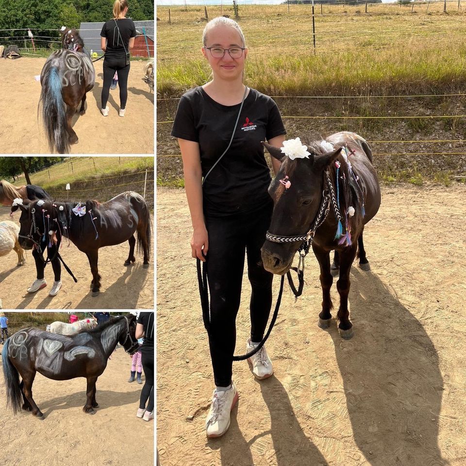 Kindergeburtstag mit Ponys feiern Erzgebirge in Großolbersdorf