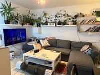 2-Zimmerwohnung mit Terrasse in Uninähe Dortmund - Persebeck Vorschau