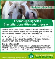 Paddock-Box Therapiegeeignetes Einstellerpony/Kleinpferd gesucht Niedersachsen - Holzminden Vorschau