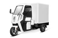 Geco Truck XC Transporter Mofa Moped Kabinenroller 45 km/h 3Rad Nordrhein-Westfalen - Gelsenkirchen Vorschau