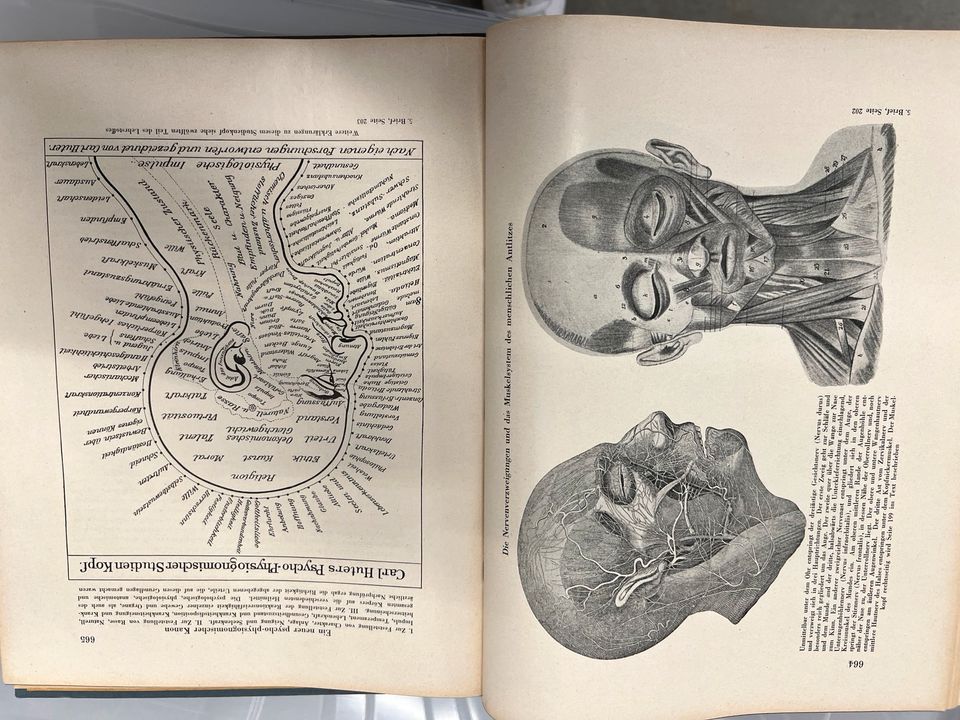 Selten❌Carl Huter❌Altes Lehrbuch❌Physiognomie❌Menschenkenntnis❌ in Paderborn