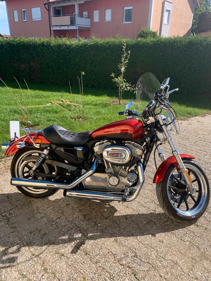 Harley Sportster XL 883 L in Velden