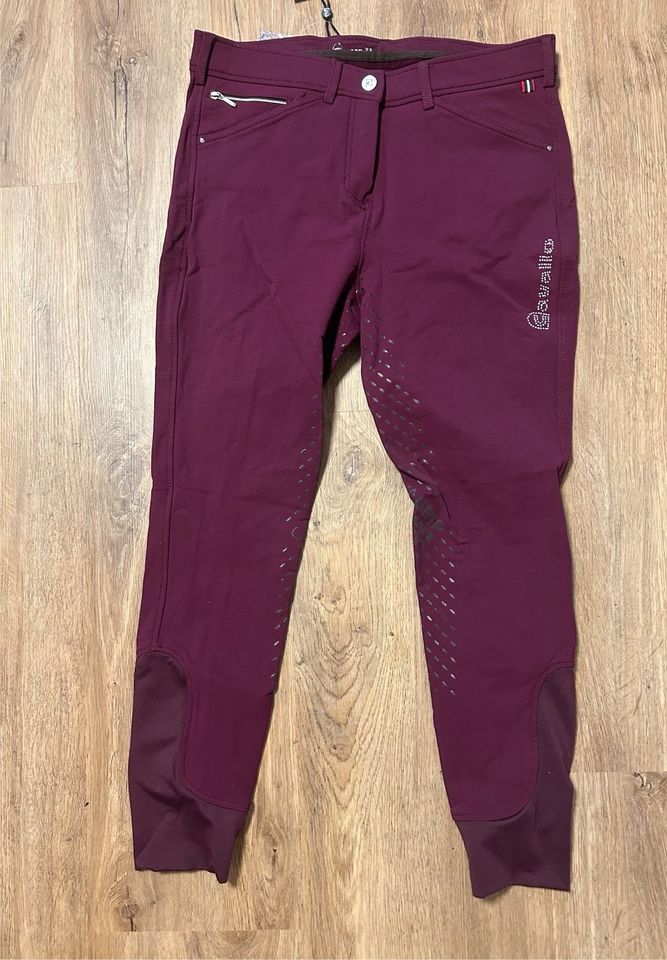 Cavallo Reithose Vollbesatz Grip Lila 42 neu in Erkrath