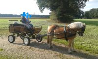 Kutsche Wagonette Einspänner, Haflinger Niedersachsen - Nordhorn Vorschau